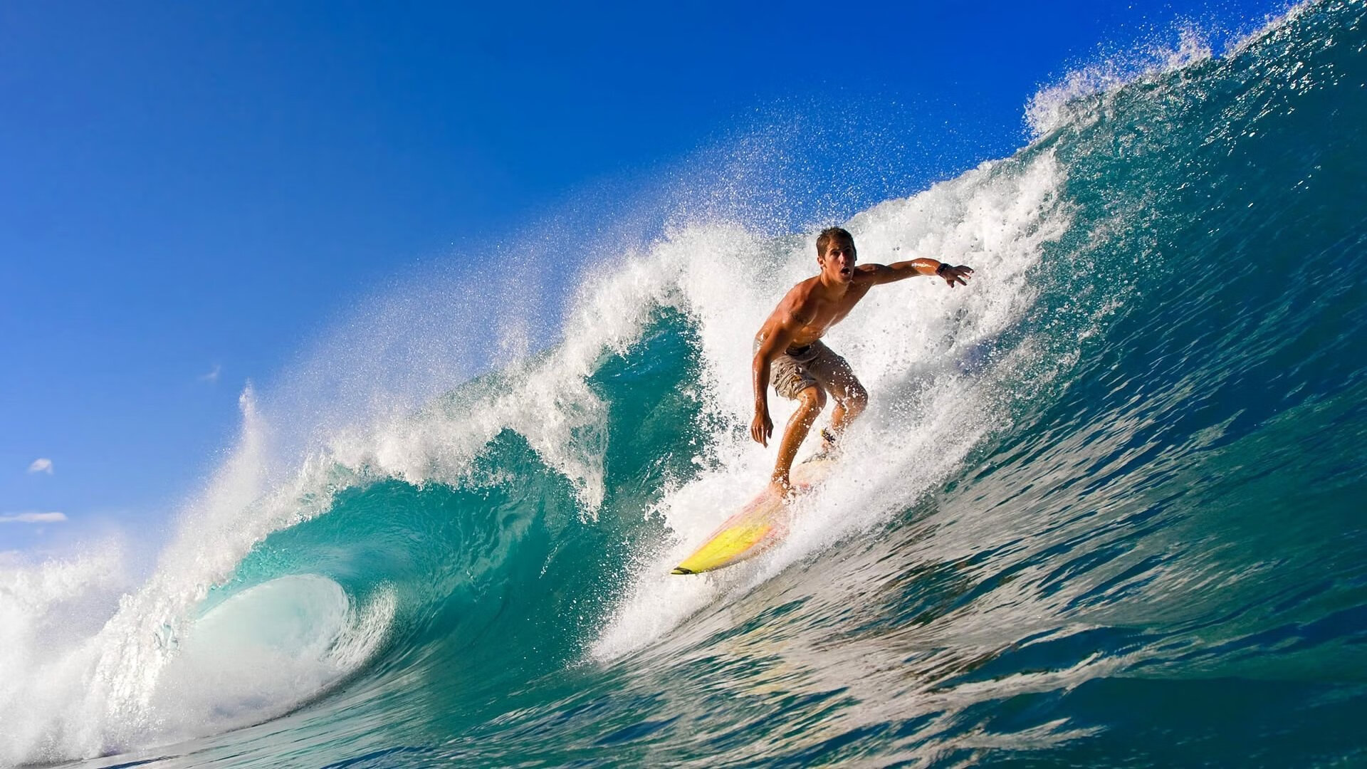 _爵士不断前行，排名持续上升_，爵士大全