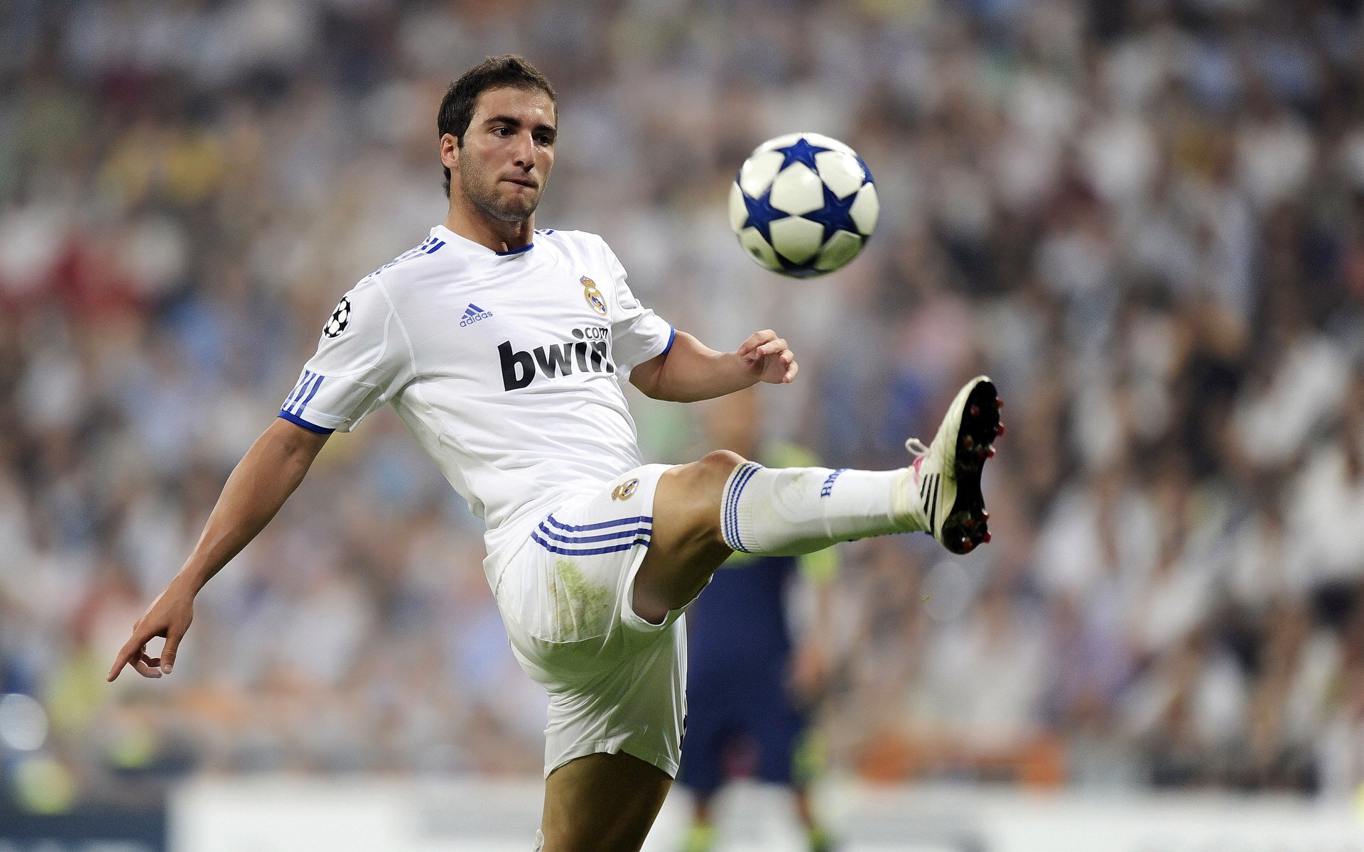 “自动化判罚与新规则的结合，推动“快节奏”比赛的科学化发展”